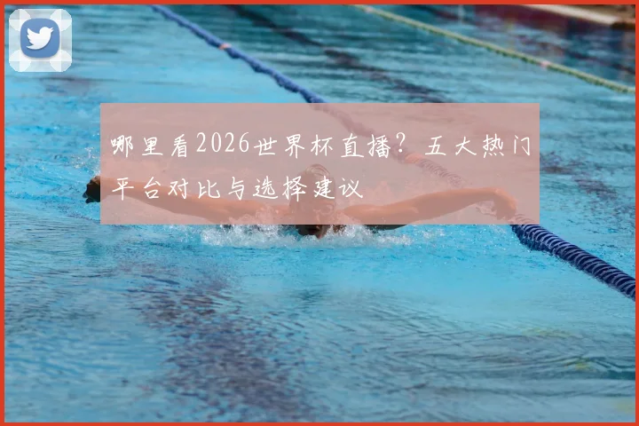 哪里看2026世界杯直播？五大热门平台对比与选择建议