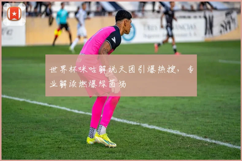世界杯咪咕解说天团引爆热搜,专业解读燃爆绿茵场